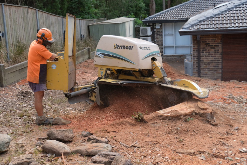 Stump Grinding