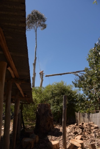 Timber