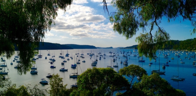 View pruning to improve water views